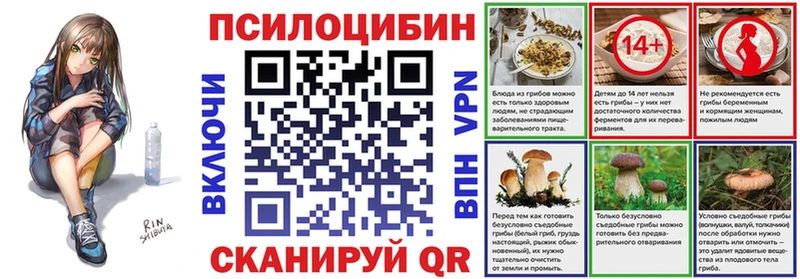 Галлюциногенные грибы Psilocybine cubensis  Городовиковск 